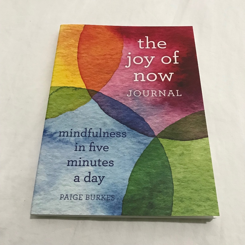📚3/$35 The Joy of Now Self-Care Reflection Guided Journal by Paige Burkes